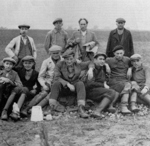Fischer Kartoffelernte Müncheberg, F.Mitte m.Pfeife Fischer Kartoffelernte Müncheberg, F.Mitte m.Pfeife